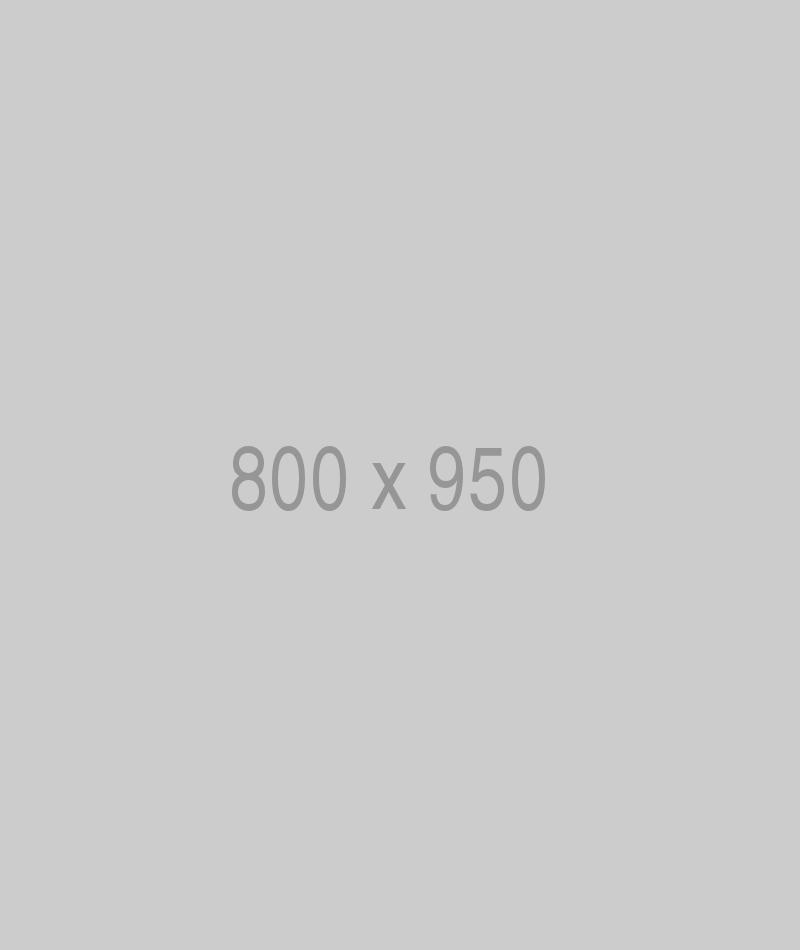 litho-800x950-ph.jpg